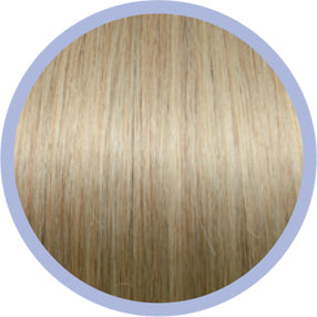Tape-In 50 cm 24/Intense Ash Blonde